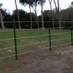 images (2)