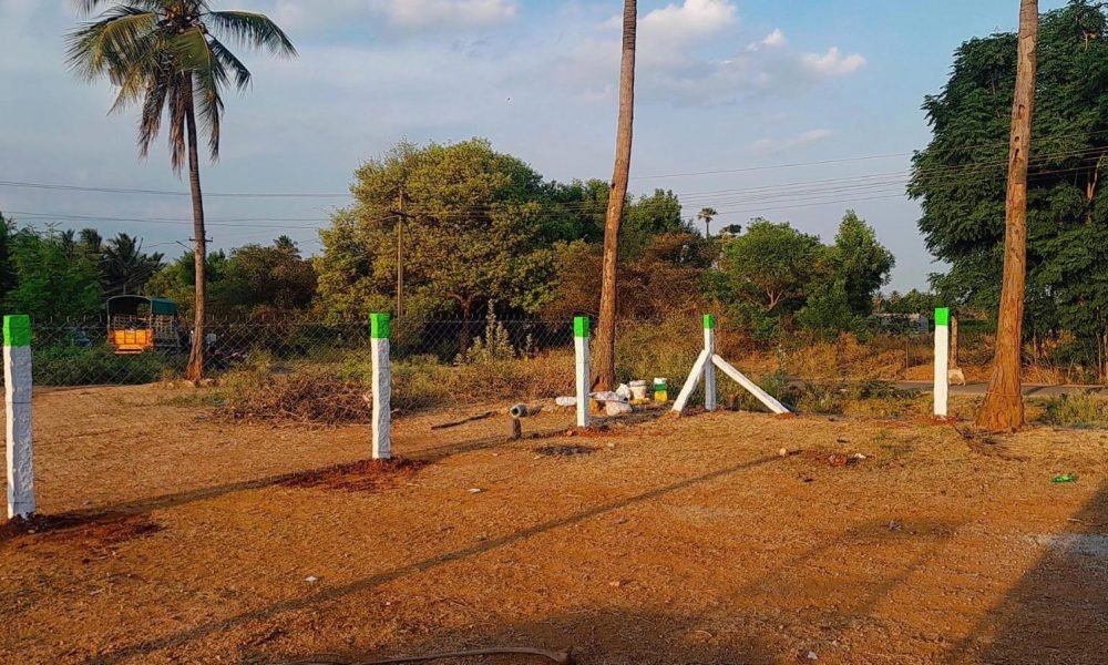 WhatsApp Image 2025-07-01 at 10.53.46_bdc23f33