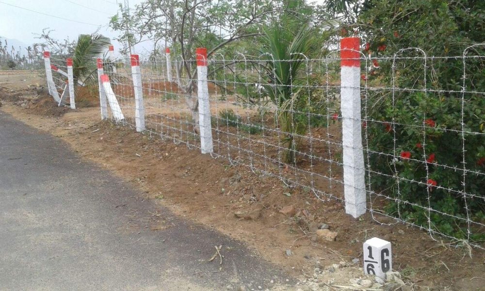 WhatsApp Image 2025-07-01 at 10.53.58_faa1cd2f