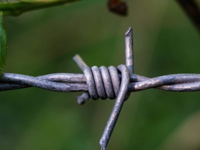 A beautiful closeup shot of a grey barbed wire