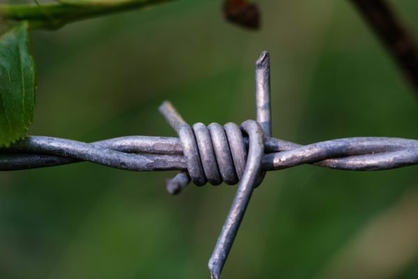A beautiful closeup shot of a grey barbed wire