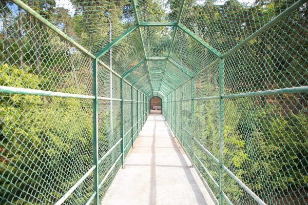 Bridge way for tourists surrounded with green grid. Safety concrete bridge or pathway for crossing river or lake. Green trees of forest on background. Tourism, adventure and summer vacation concept