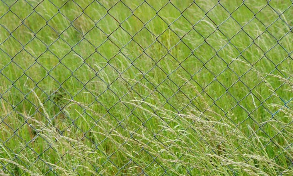 A closeup shot of a metal fence in the field full of green grasses