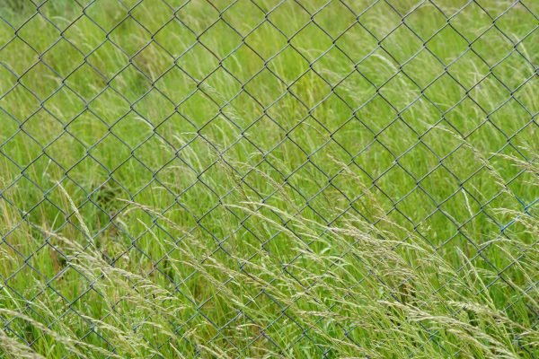 A closeup shot of a metal fence in the field full of green grasses