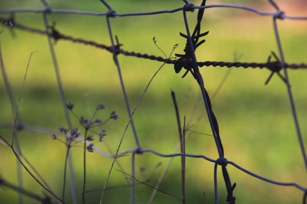 focused-wire