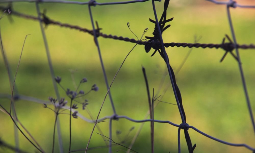 focused-wire