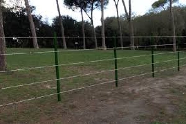 images (2)