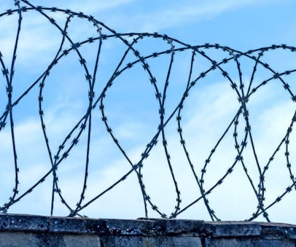 Close Up Of Concertina Razor Barbed Wire Fence On Blue Sky Background. Security And Protection