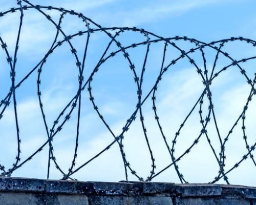 Close Up Of Concertina Razor Barbed Wire Fence On Blue Sky Background. Security And Protection